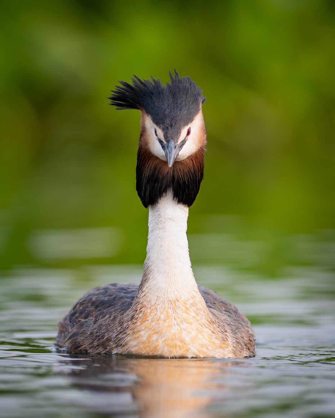 TAD_0782-Enhanced-NR