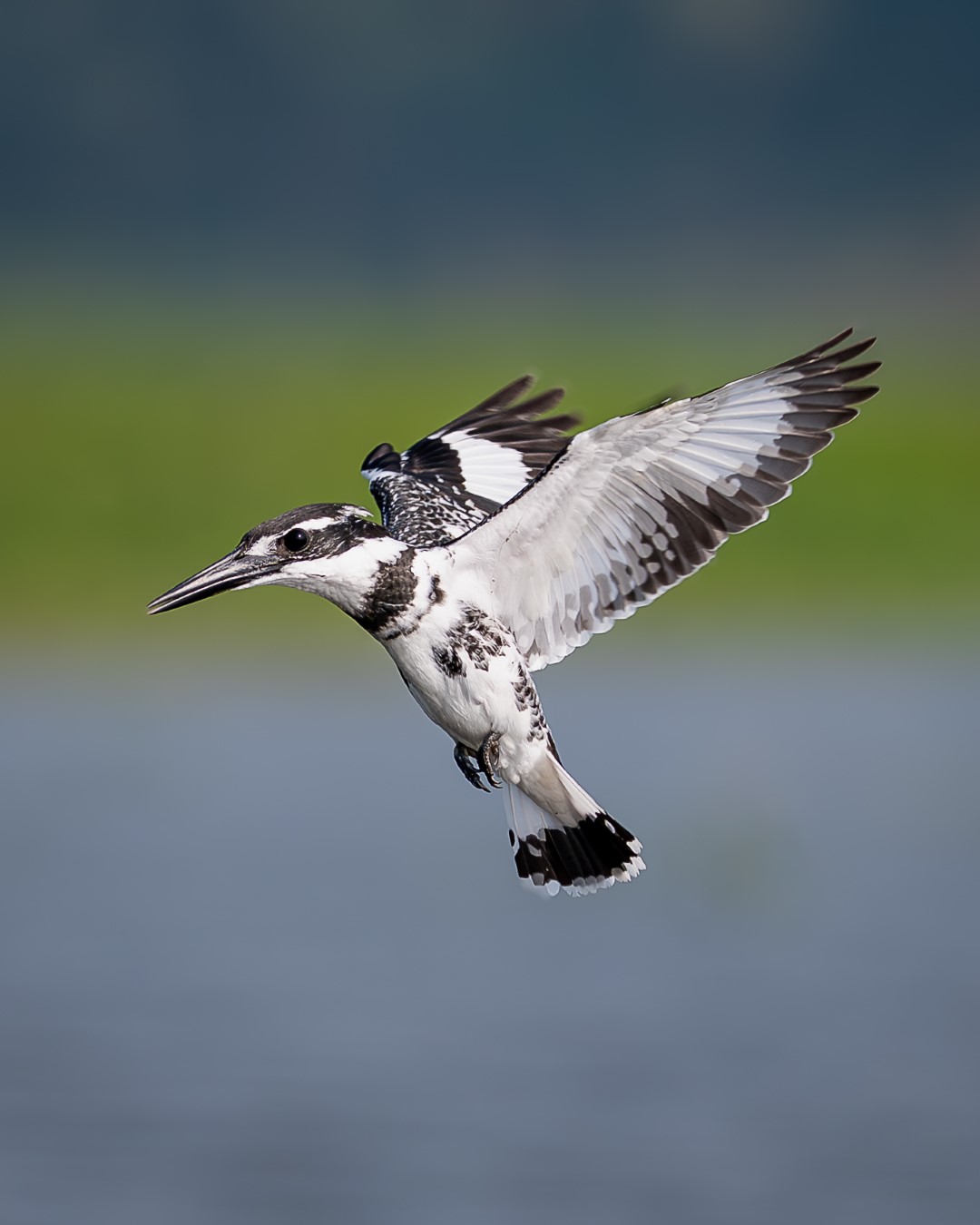 TAD_8005-Enhanced-NR